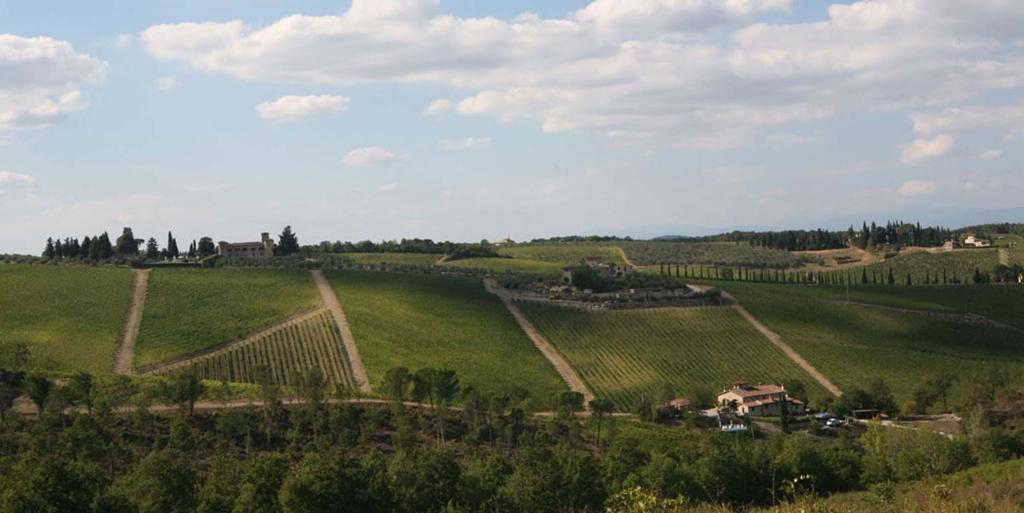 Il Vichiaccio Country House Impruneta Exterior foto