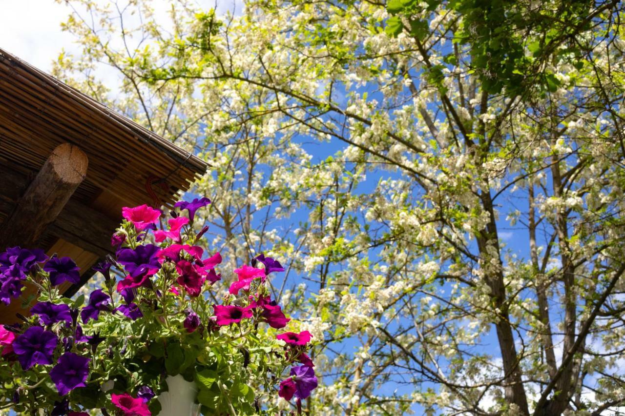 Il Vichiaccio Country House Impruneta Exterior foto